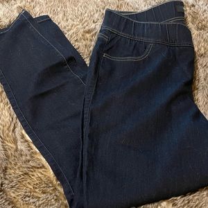 Torrid Denim Jeggings